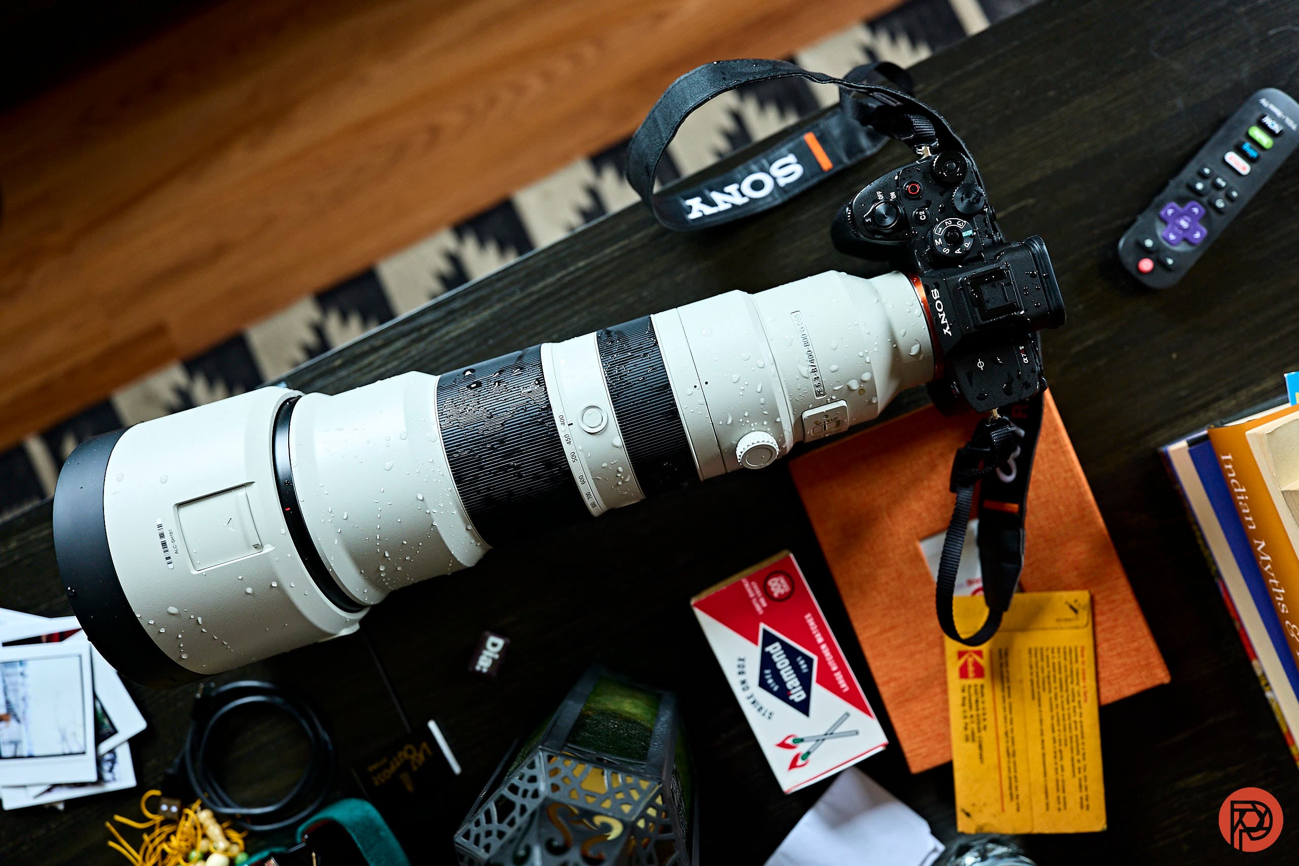 The Best Birding Lenses for Sony Photographers